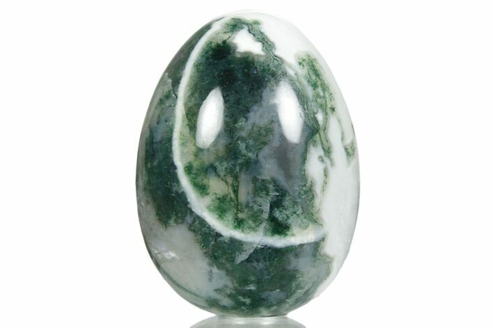 Polished Tree Agate Egg - India #356344